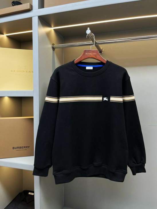 Picture of Burberry Sweatshirt _SKUBurberryS-2XLaztx876231014